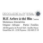 Huile essentielle - Tea Tree BIO - 10 ml